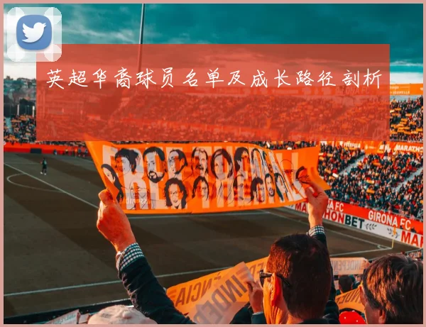 英超华裔球员名单及成长路径剖析